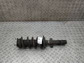 Front shock absorber/damper