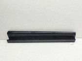 Front door trim (molding)
