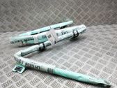 Airbag de toit