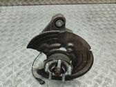 Rear wheel hub
