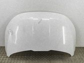 Motorhaube