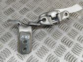 Front door hinges set