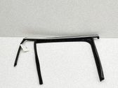Rear door glass trim molding