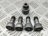 Anti-theft wheel nuts and lock