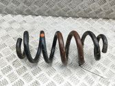 Muelle espiral trasero