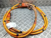 Other wiring loom
