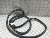 Trunk rubber seal (body)