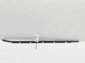 Rear door glass trim molding