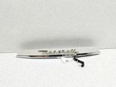 Trunk door license plate light bar