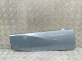 Rear door trim (molding)