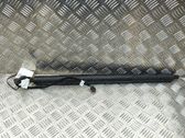 Tailgate/trunk strut/damper