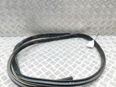 Gummidichtung Coupé-Tür