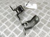 Front door hinges set