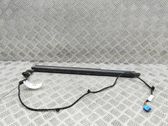 Tailgate/trunk strut/damper