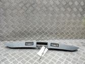 Trunk door license plate light bar