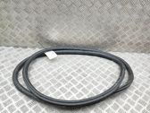 Rubber seal front door (on door)