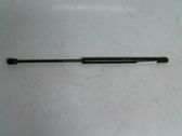 Tailgate/trunk strut/damper