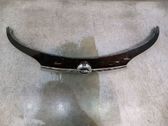 Tailgate trunk handle