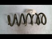 Rear coil spring