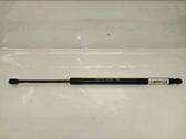 Tailgate/trunk strut/damper