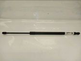 Tailgate/trunk strut/damper