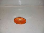 Front fender indicator light