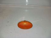 Front fender indicator light