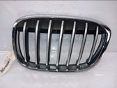 Front grill