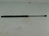 Tailgate/trunk strut/damper