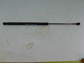 Tailgate/trunk strut/damper