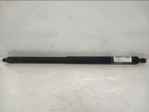 Tailgate/trunk strut/damper