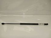 Tailgate/trunk strut/damper
