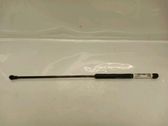 Tailgate/trunk strut/damper