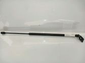 Tailgate/trunk strut/damper