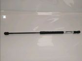 Tailgate/trunk strut/damper