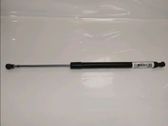 Tailgate/trunk strut/damper