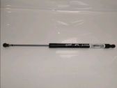 Tailgate/trunk strut/damper