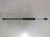 Tailgate/trunk strut/damper