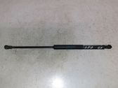Tailgate/trunk strut/damper