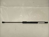 Tailgate/trunk strut/damper