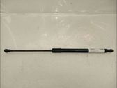 Tailgate/trunk strut/damper