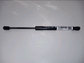 Front bonnet/hood damper/strut