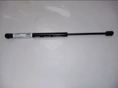 Tailgate/trunk strut/damper