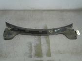 Wiper trim