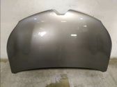 Engine bonnet/hood
