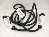 Negative earth cable (battery)