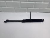 Tailgate/trunk/boot hinge