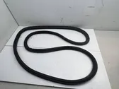 Rubber seal front coupe door