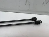 Tailgate/trunk strut/damper