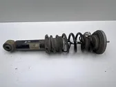 Rear shock absorber with coil spring